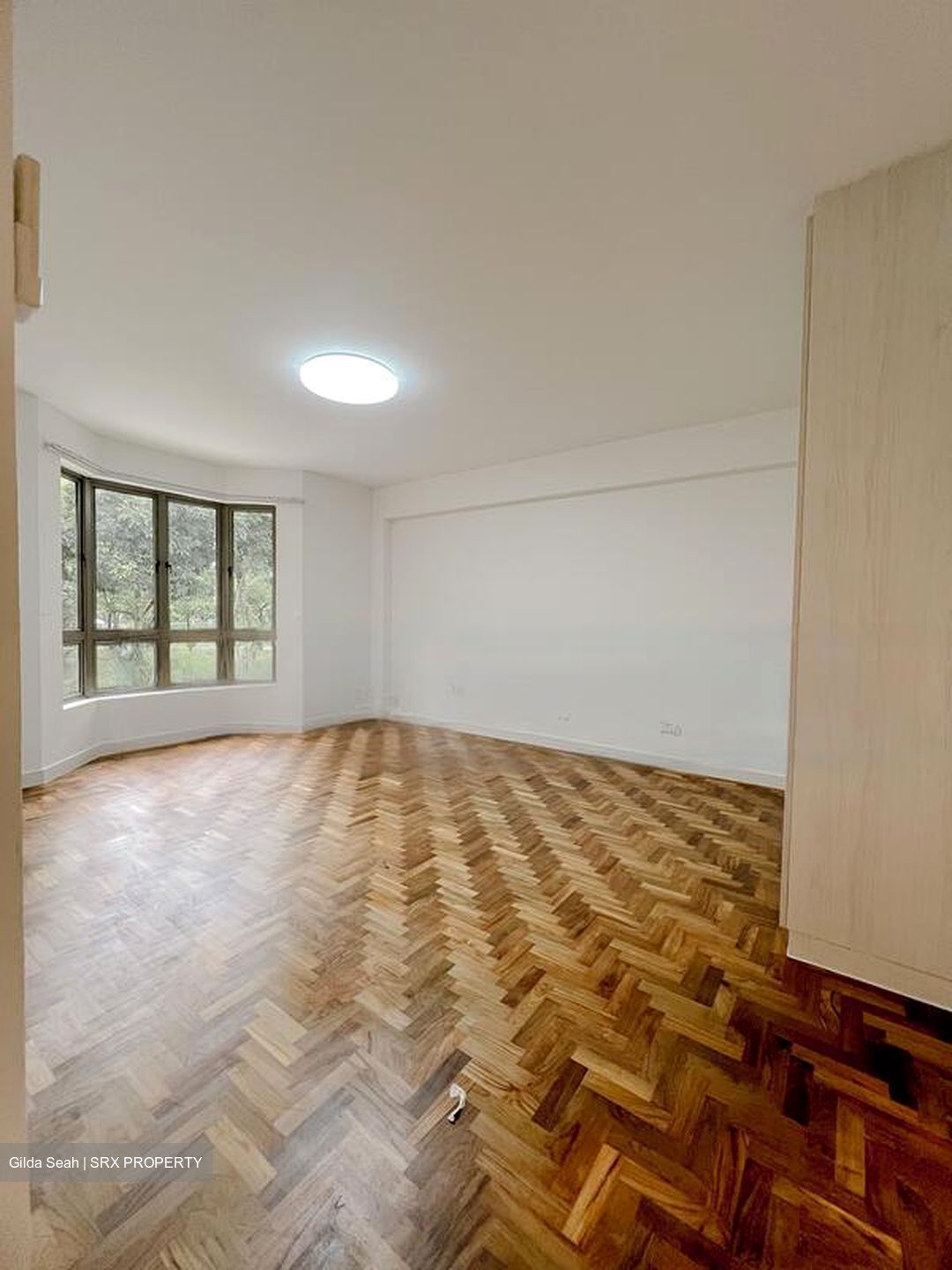 Cavenagh Lodge (D9), Apartment #475080371